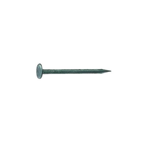 Tinkertools 1.62 in. 50 lbs Drywall Phosphate-Coated Steel Flat Nail TI2514701